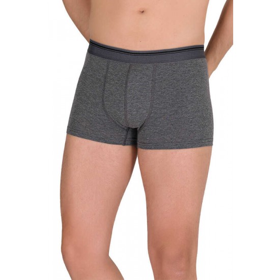 Berrak 1097 Erkek Boxer