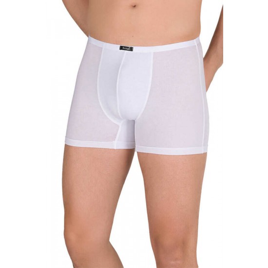 Berrak 4488 erkek boxer